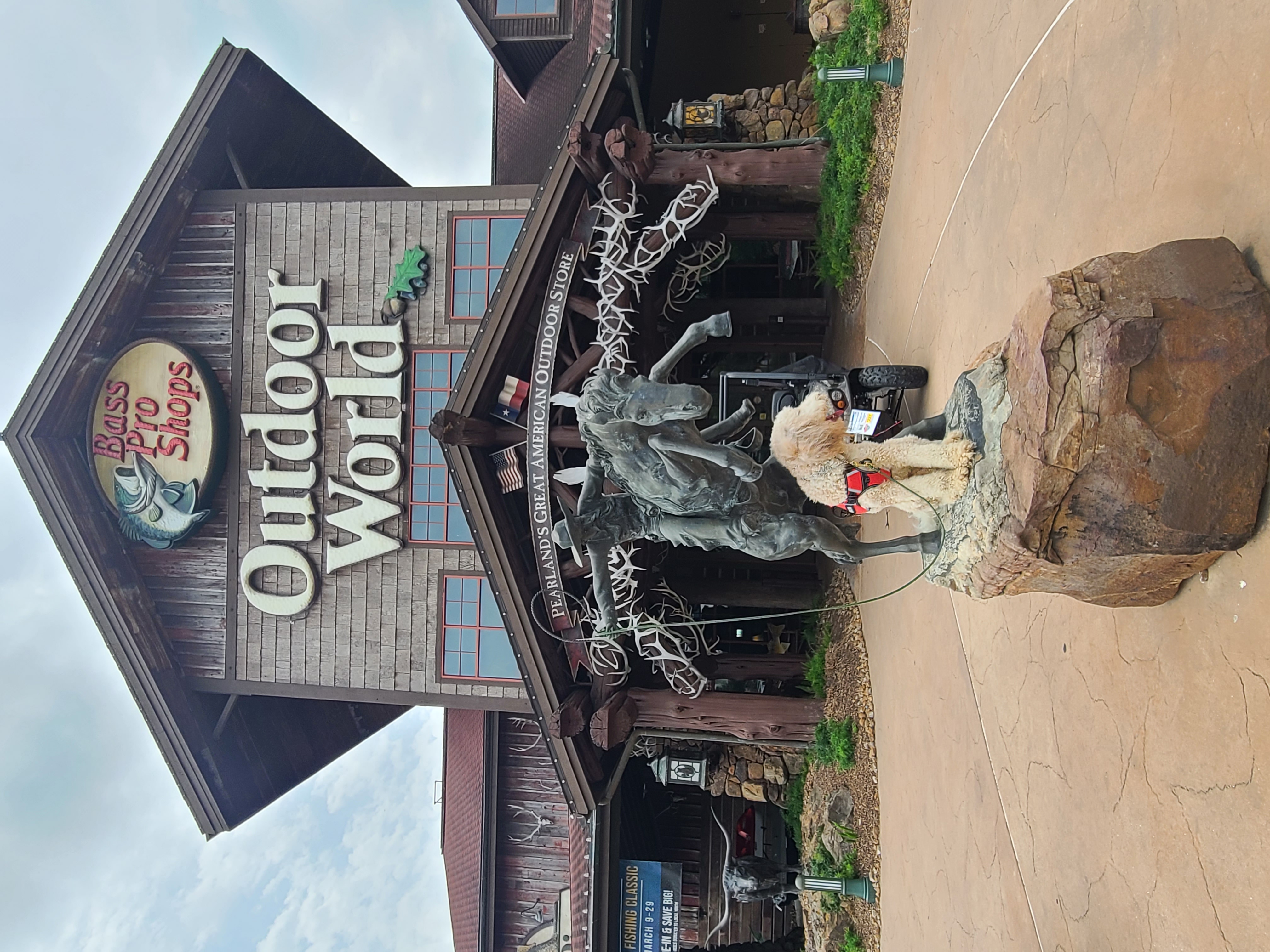 dog practicing leash training at bass pro shops