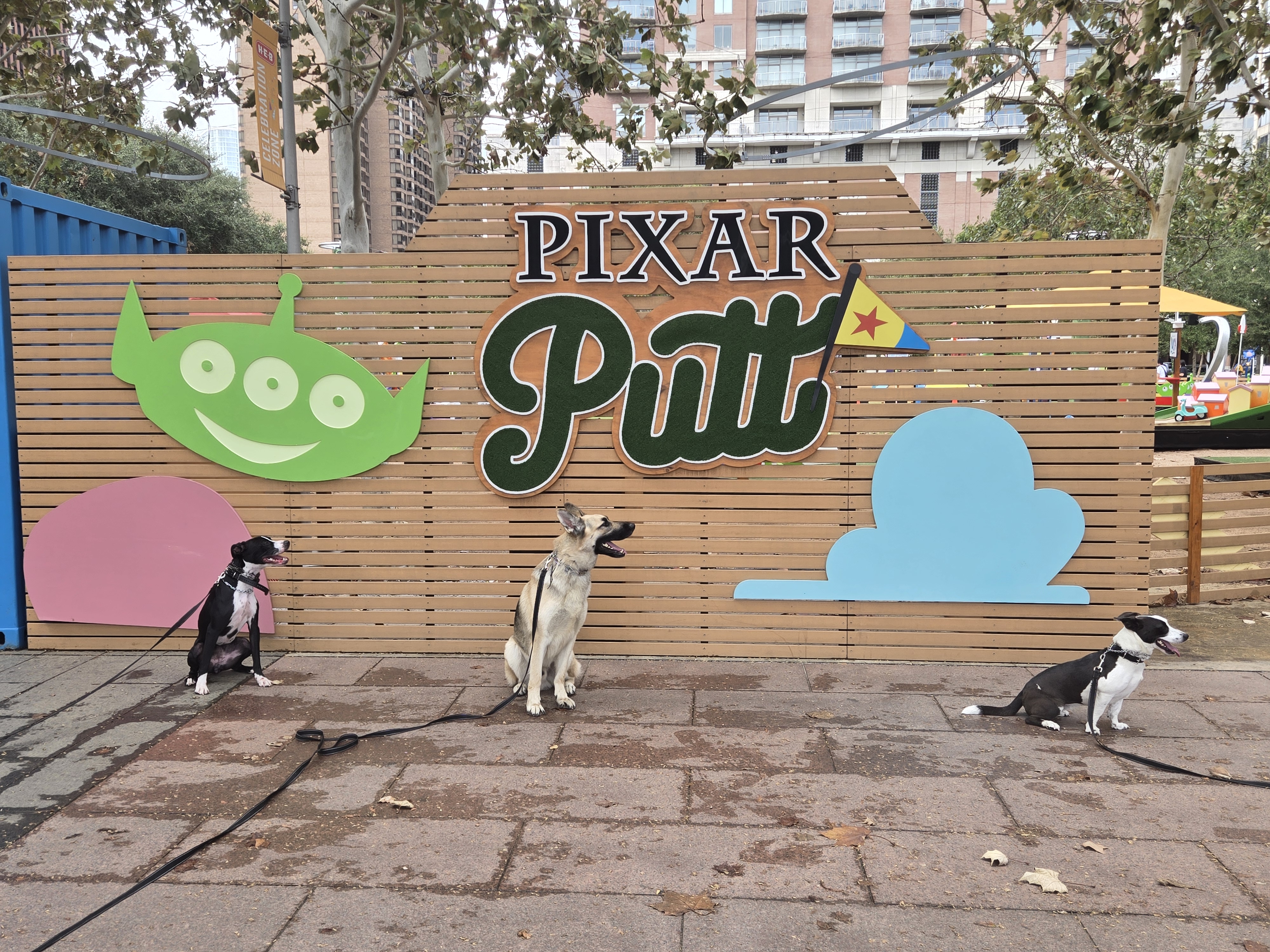 dogs at putt putt golf course