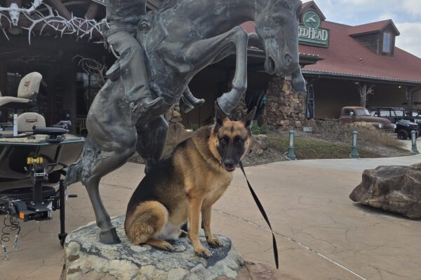 dog sitting next to statue