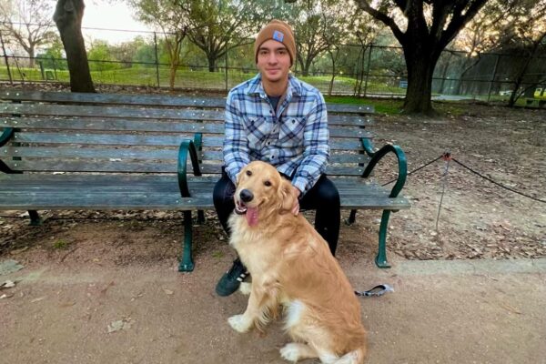 golden retriever sitting