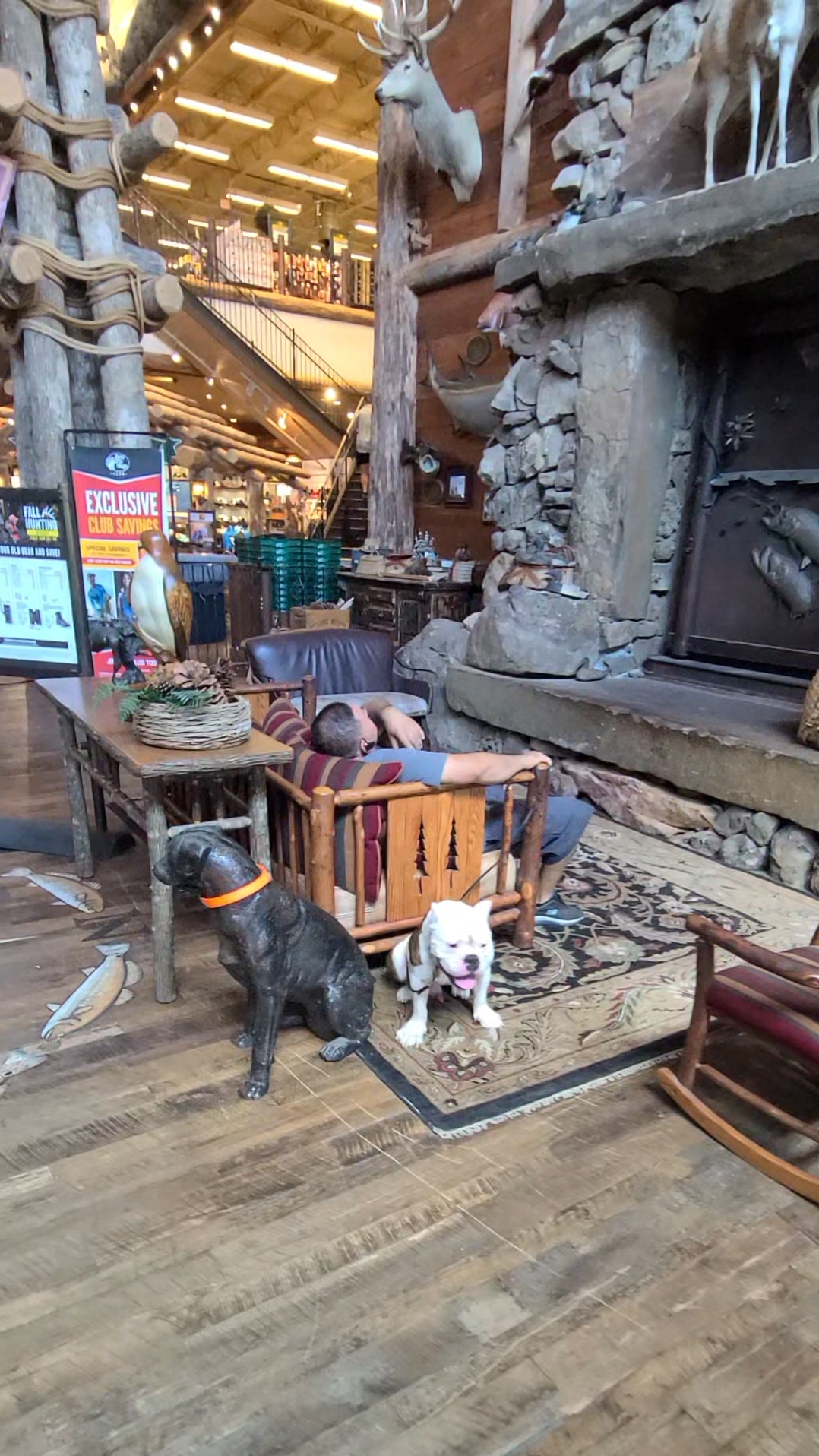dogs training at bass pro shops