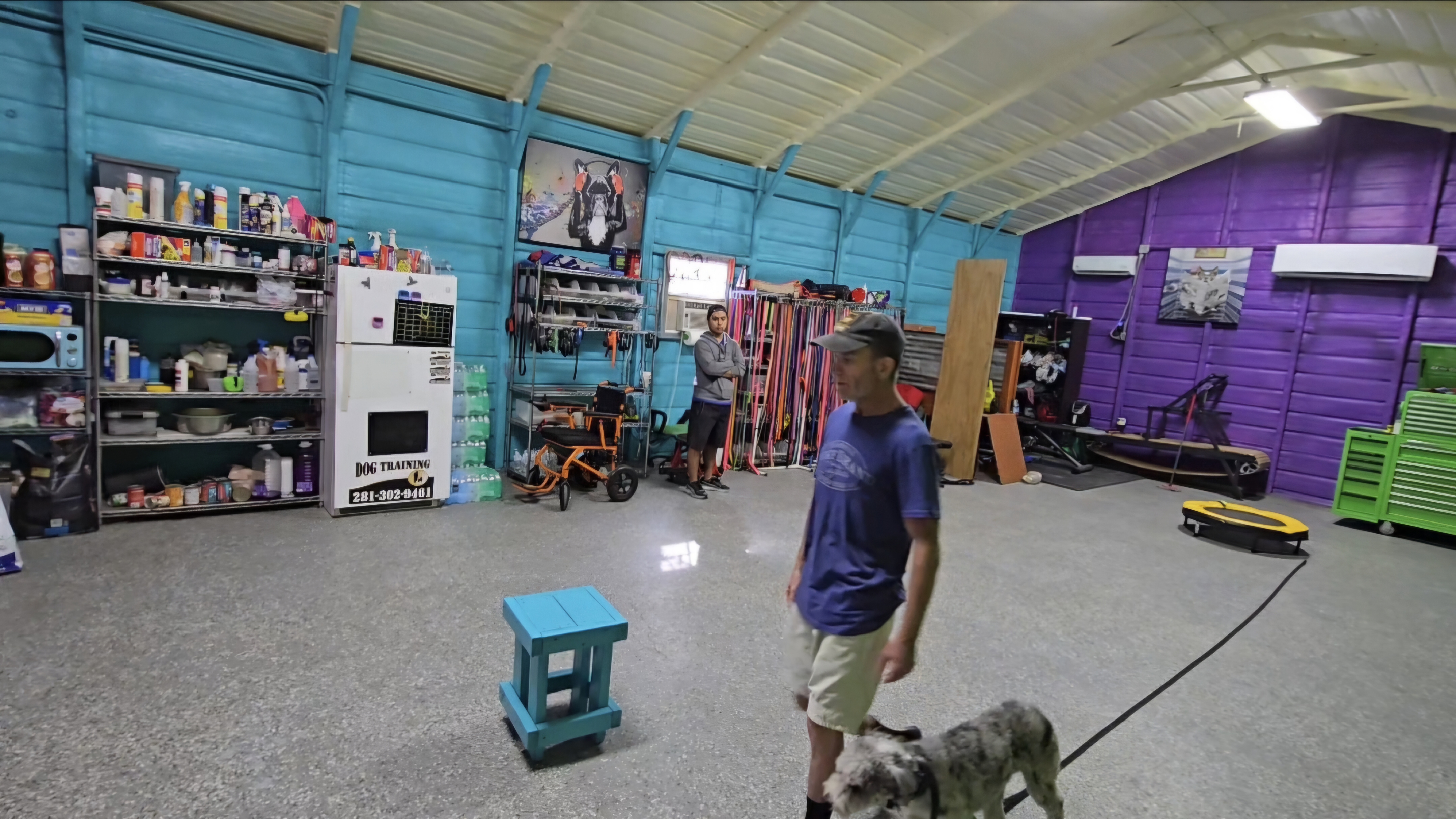 dog training at indoor facility