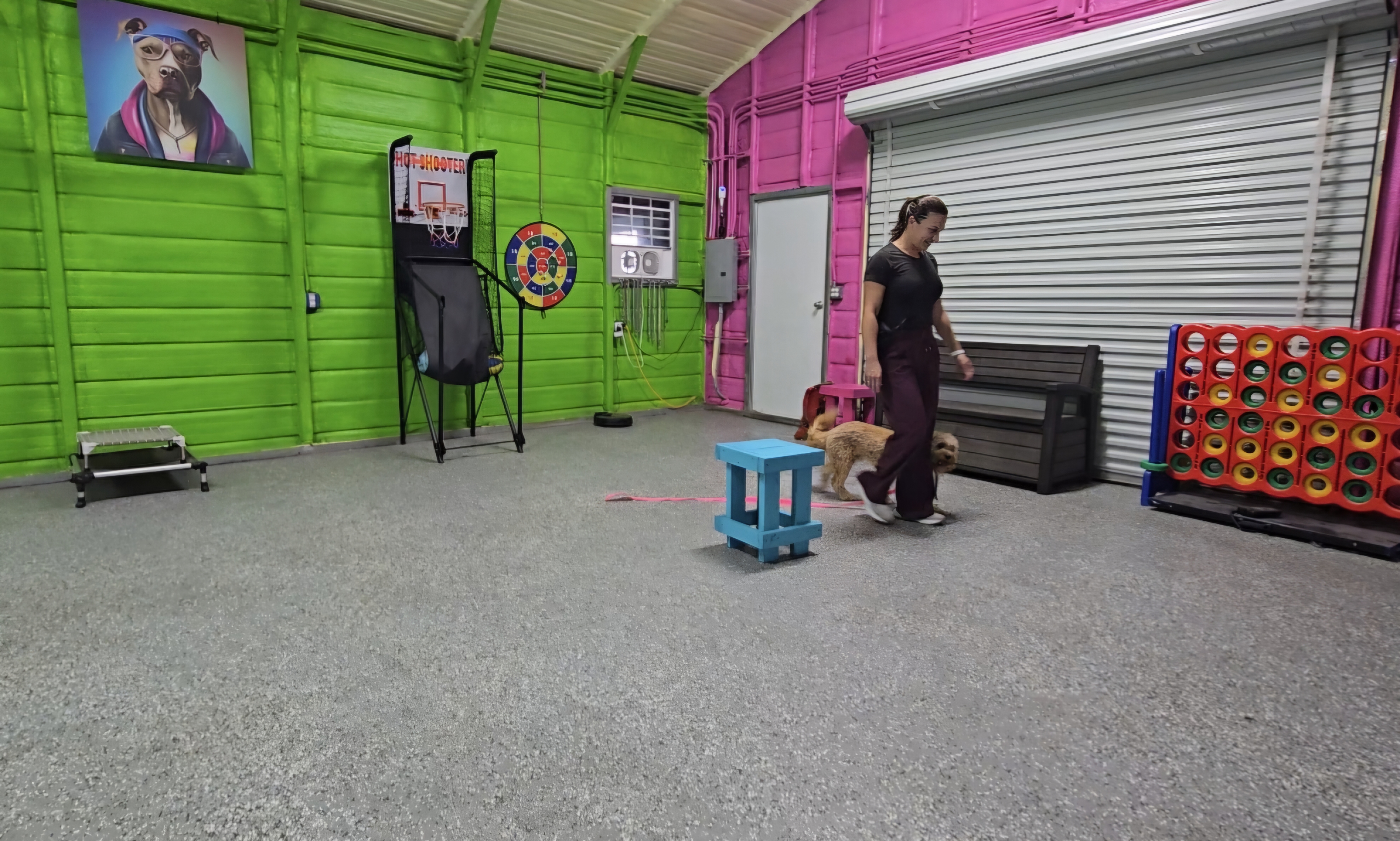 dog with trainer