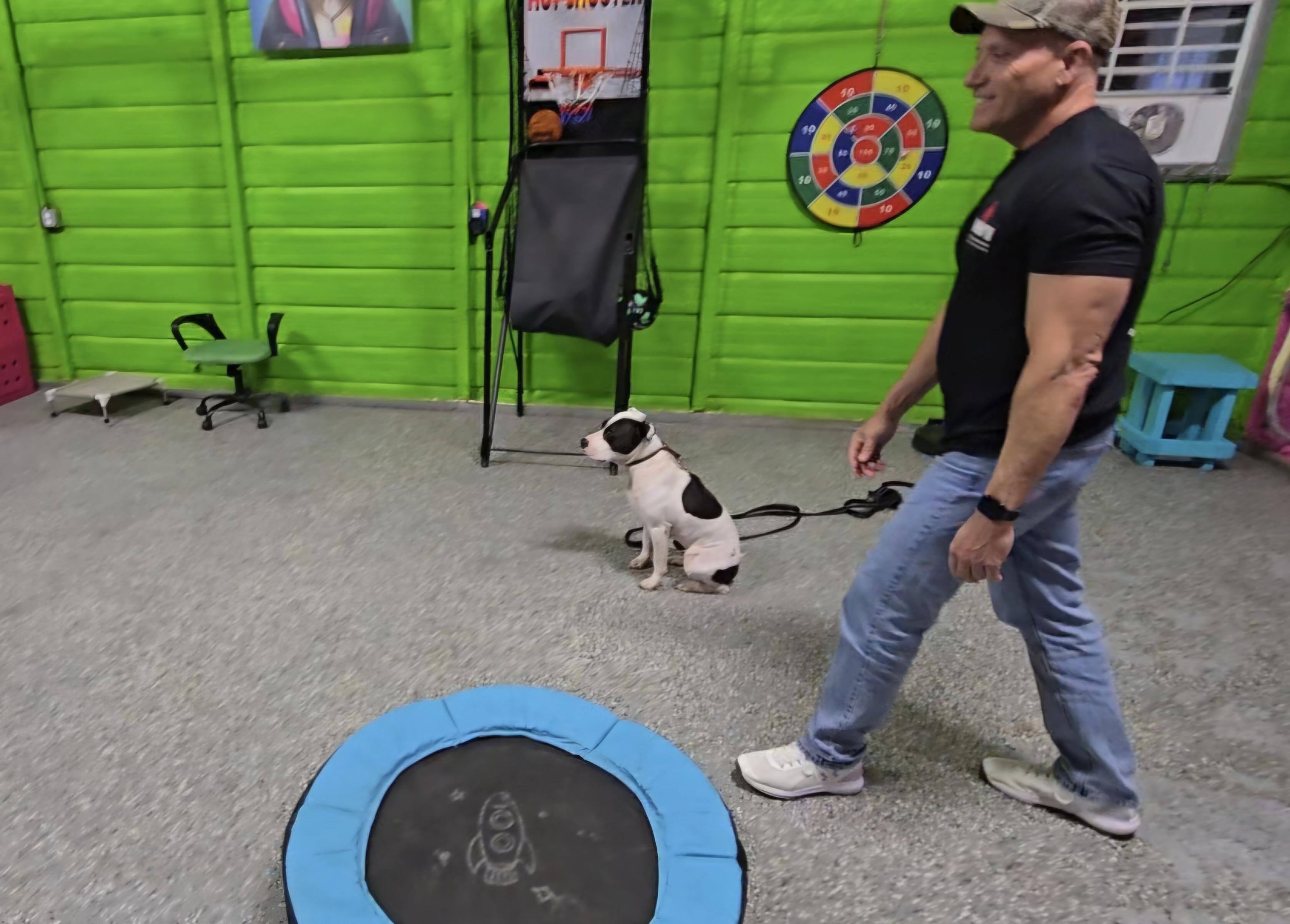dog practicing commands with owner