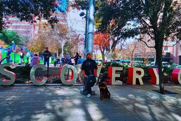 dog training at crowded park